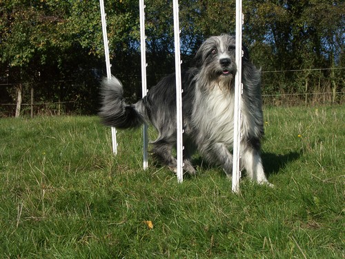 2003-10-14-08500 2003-10-14-08500