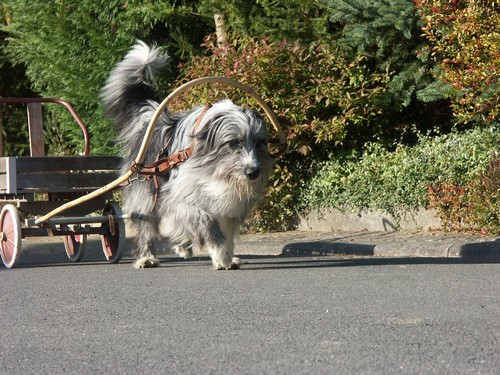 2003-10-14-28500 2003-10-14-28500