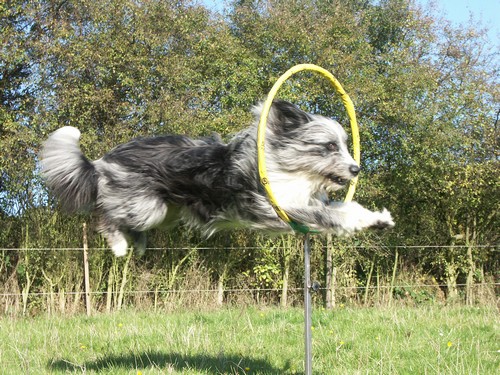 2003-10-14-93500 2003-10-14-93500