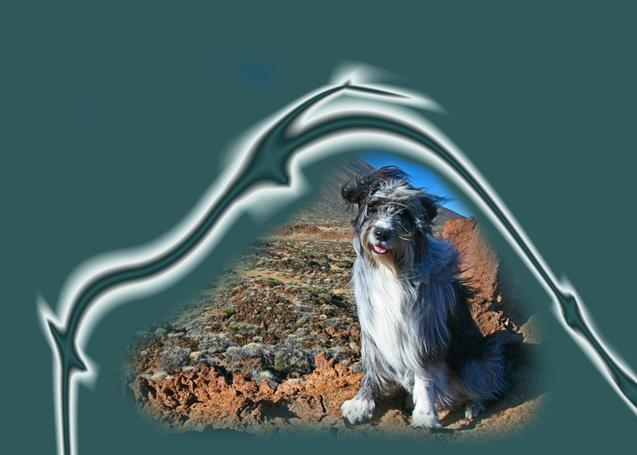 Balu im Rahmen Balu im Rahmen