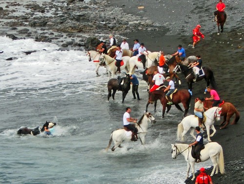 Caleta 14500 Caleta 14500