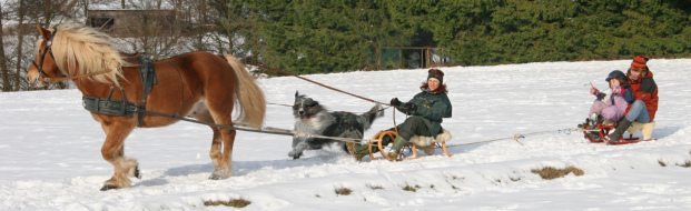 IMG_3221xkl IMG_3221xkl