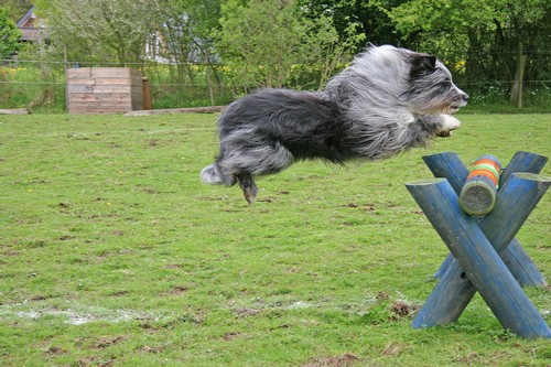 IMG_3817x500 IMG_3817x500