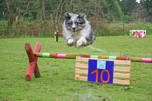 IMG_3824x500 IMG_3824x500