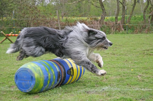 IMG_3836x500 IMG_3836x500