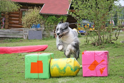 IMG_3864x500 IMG_3864x500