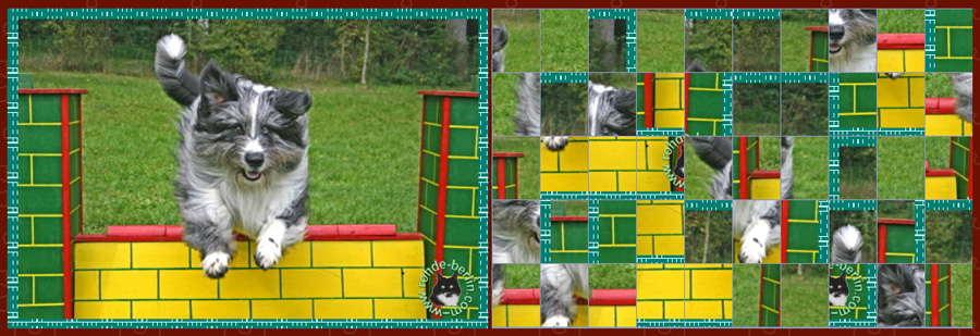 Puzzle Puzzle