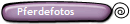 Pferdefotos
