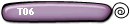 T06