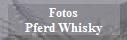 Fotos
Pferd Whisky