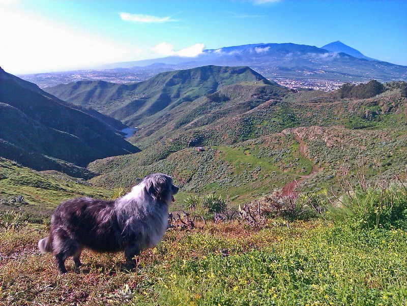 b-Bienenweg800 b-Bienenweg800