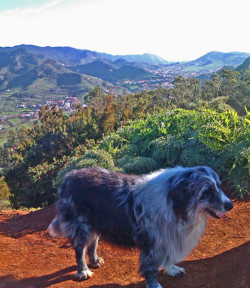 b-Mesa moto 1800 b-Mesa moto 1800