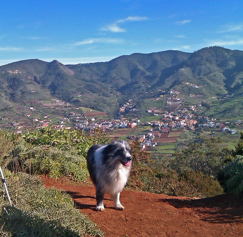 b-mesa moto 2800 b-mesa moto 2800