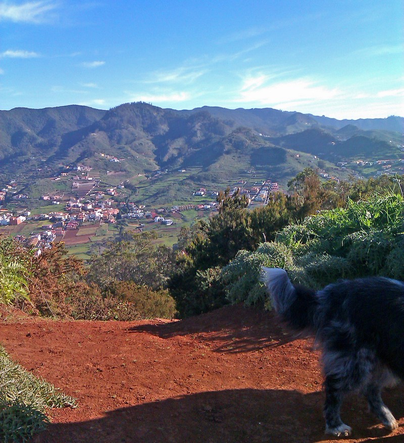 b-mesa moto 3800 b-mesa moto 3800