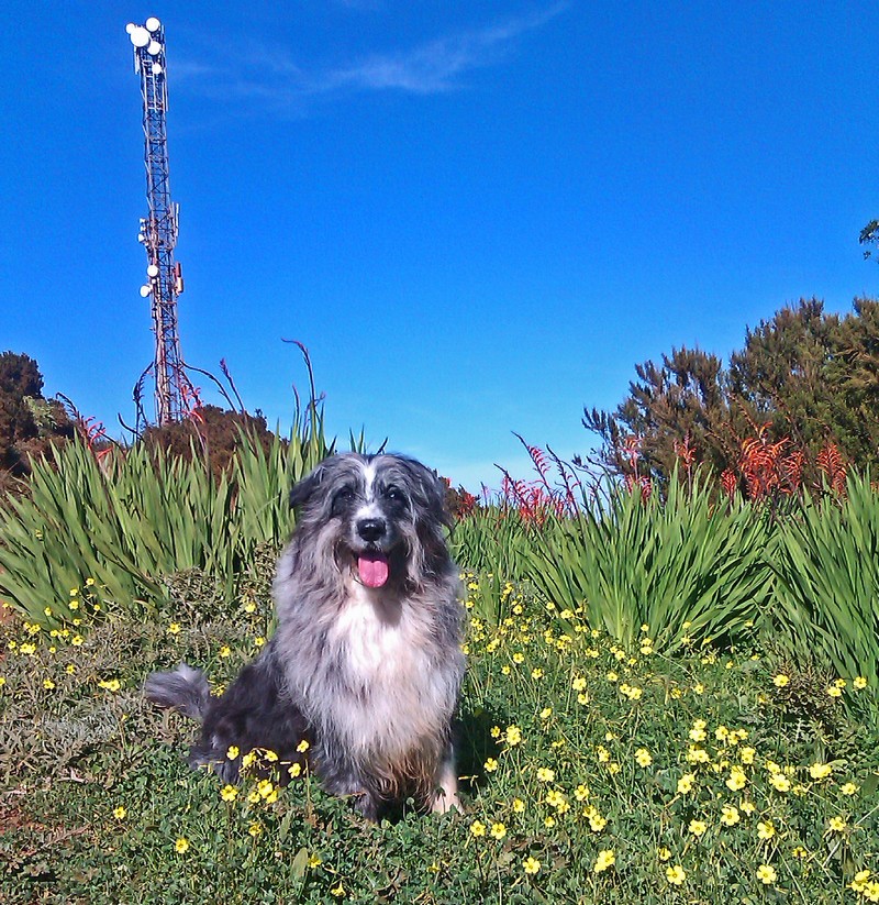 b-mesa moto 4800 b-mesa moto 4800