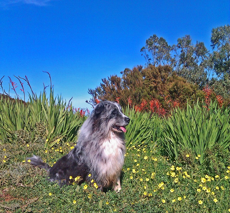 b-mesa moto 5800 b-mesa moto 5800