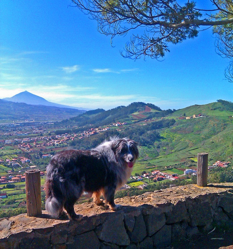 b-mesa moto 7800 b-mesa moto 7800