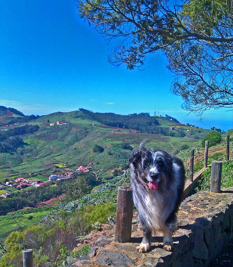 b-mesa moto 8800 b-mesa moto 8800