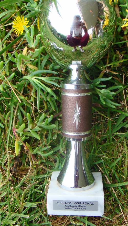 bDSC0182904 bDSC0182904