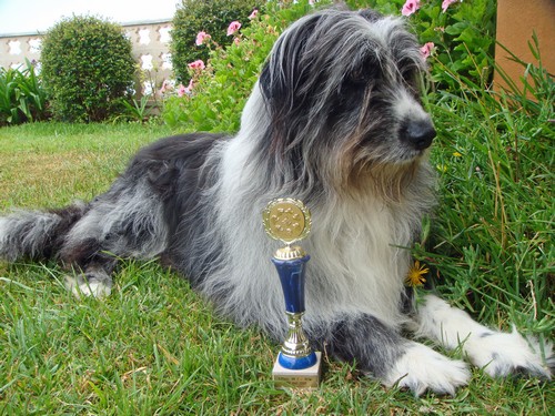 b Balu und Pokal
