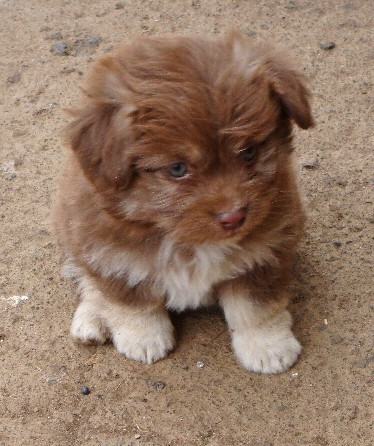 k-b-Boliche02 k-b-Boliche02