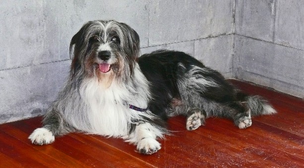 k-immer wach k-immer wach